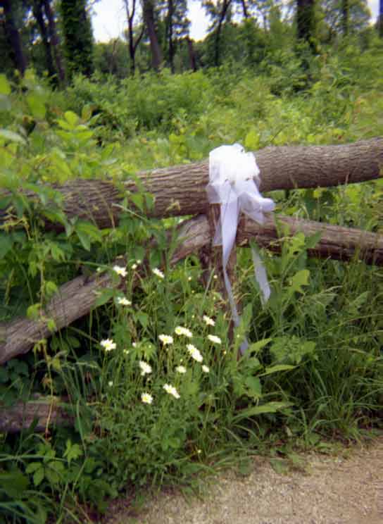 Path marker